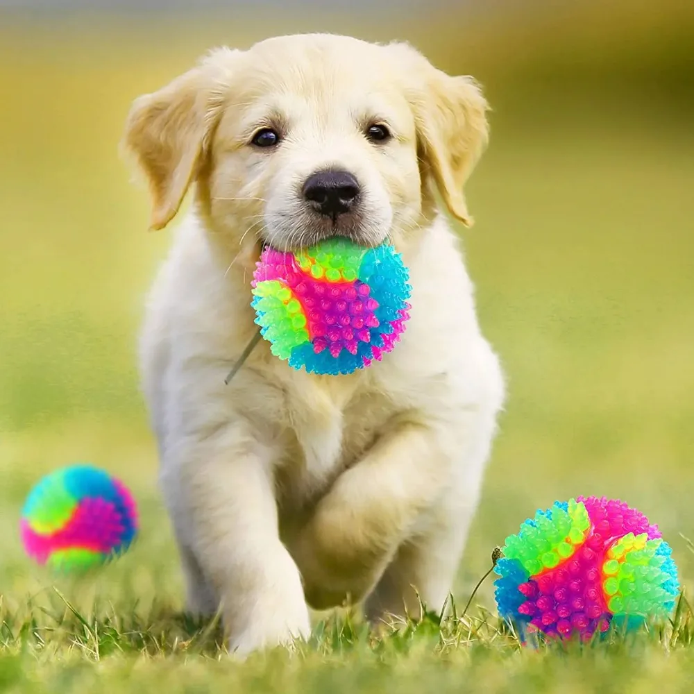 LED Glowing Ball Dog Toy Molar Ball Balls Flashing Elastic Ball Pet Color Light Ball Interactive Toys For Puppy Cats Dog