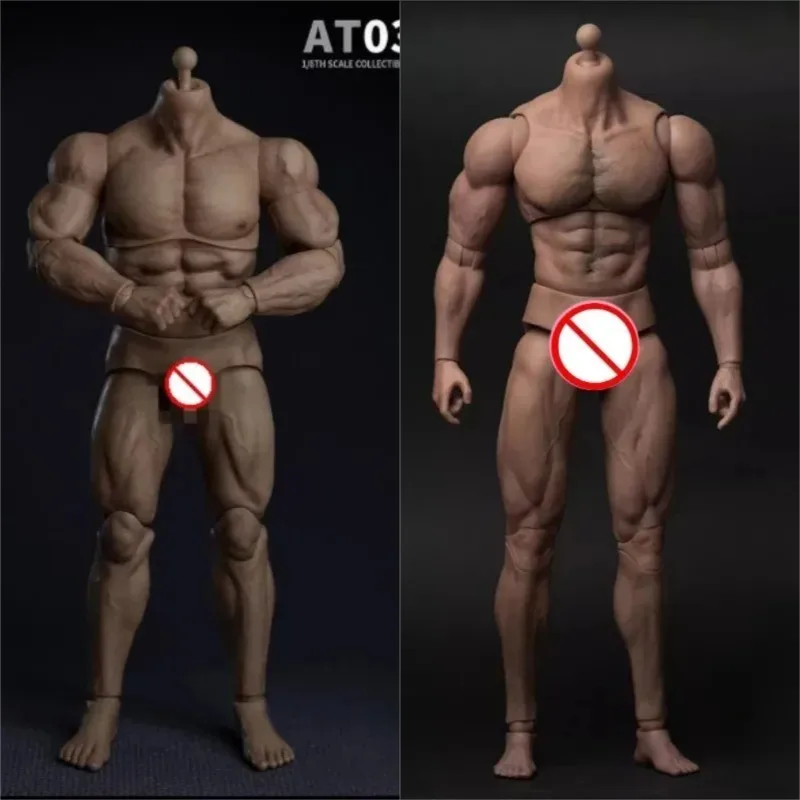 

Коллекция моделей мышц солдата в масштабе 1:6, для 12-дюймовых фигурок, скульптура головы AT011 AT020 AT012/027