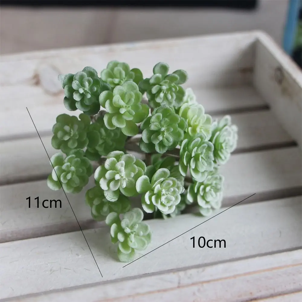 24 Heads Mini Artificial Cactus Plant Plastic Realistic Artificial Succulent Plant Real Touch Micro Landscape Decoration - Image 6