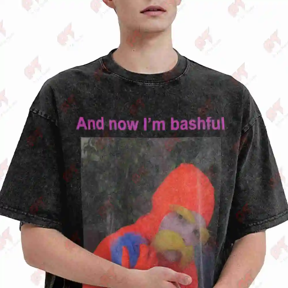 Lorax Quote Now I'm Bashful Vintage Washed Tee Pure Cotton T-Shirt