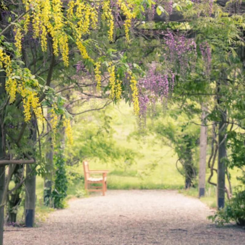 ล้อแม็กซ์อะลูมิเนียมอัลลอยด์ CNC สำหรับรถบังคับวิทยุ AXIAL SCX6 ขนาด 1:6 จำนวน 4 ชิ้น อุปกรณ์เสริมสำหรับรถบังคับวิทยุ