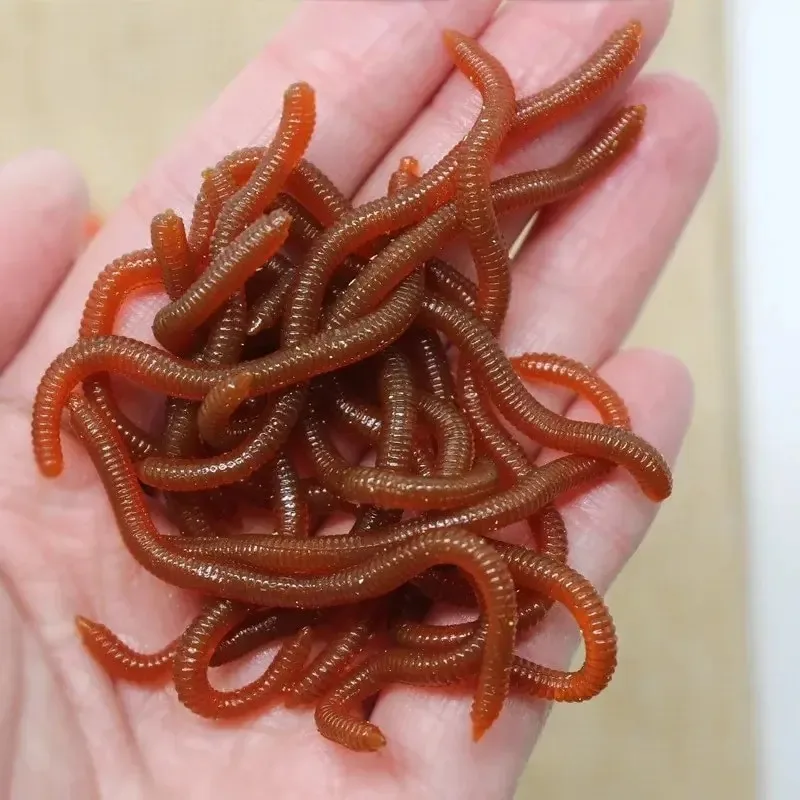 Leurre souple biomimétique rouge à l'odeur de poisson réaliste, simulation de vers de terre, leurre de pêche artificiel en TPR