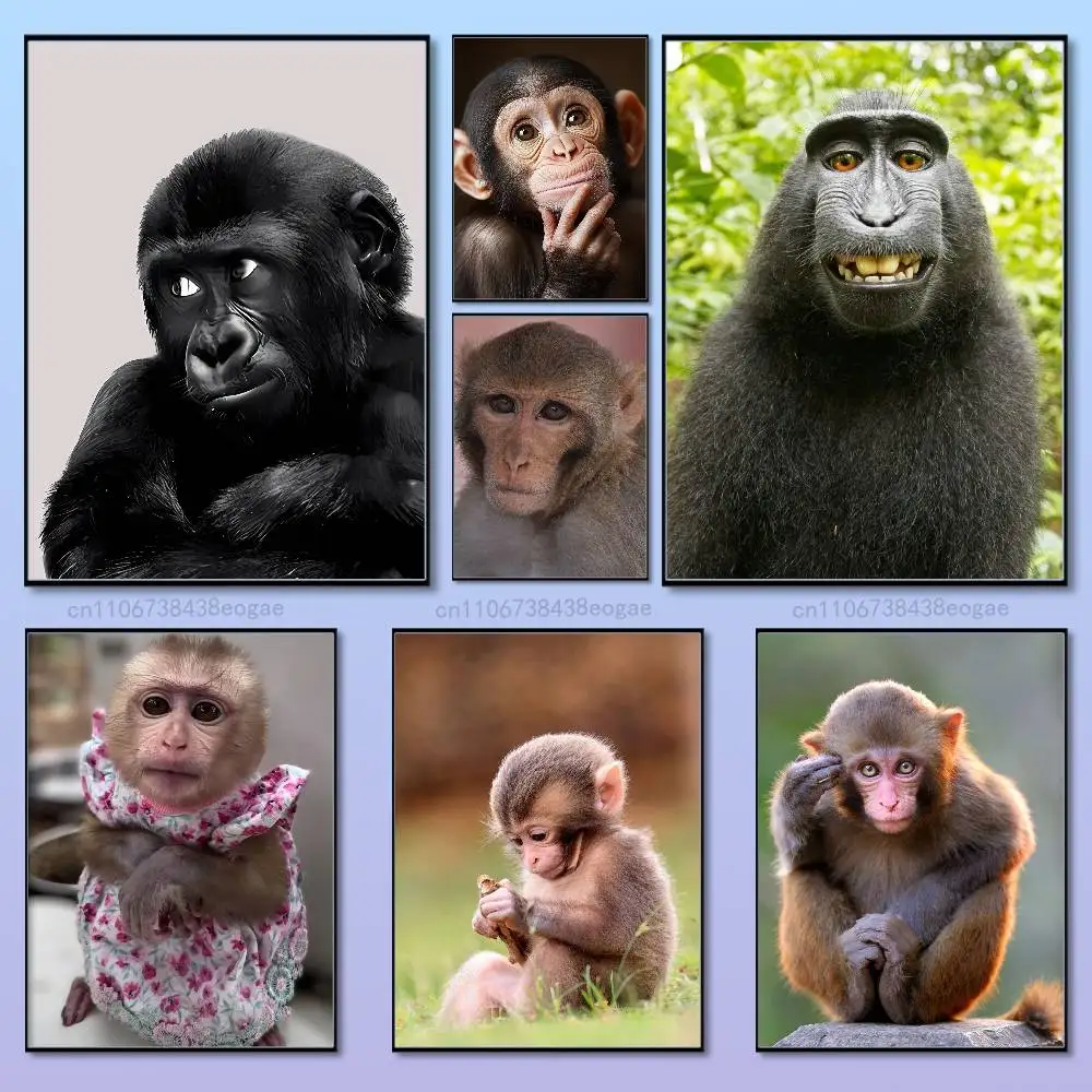 

Funny Emoticons Monkey Poster HD Art Sticky Wall Cafe Bar Room Modern Home Living Room Bedroom Wall Decoration