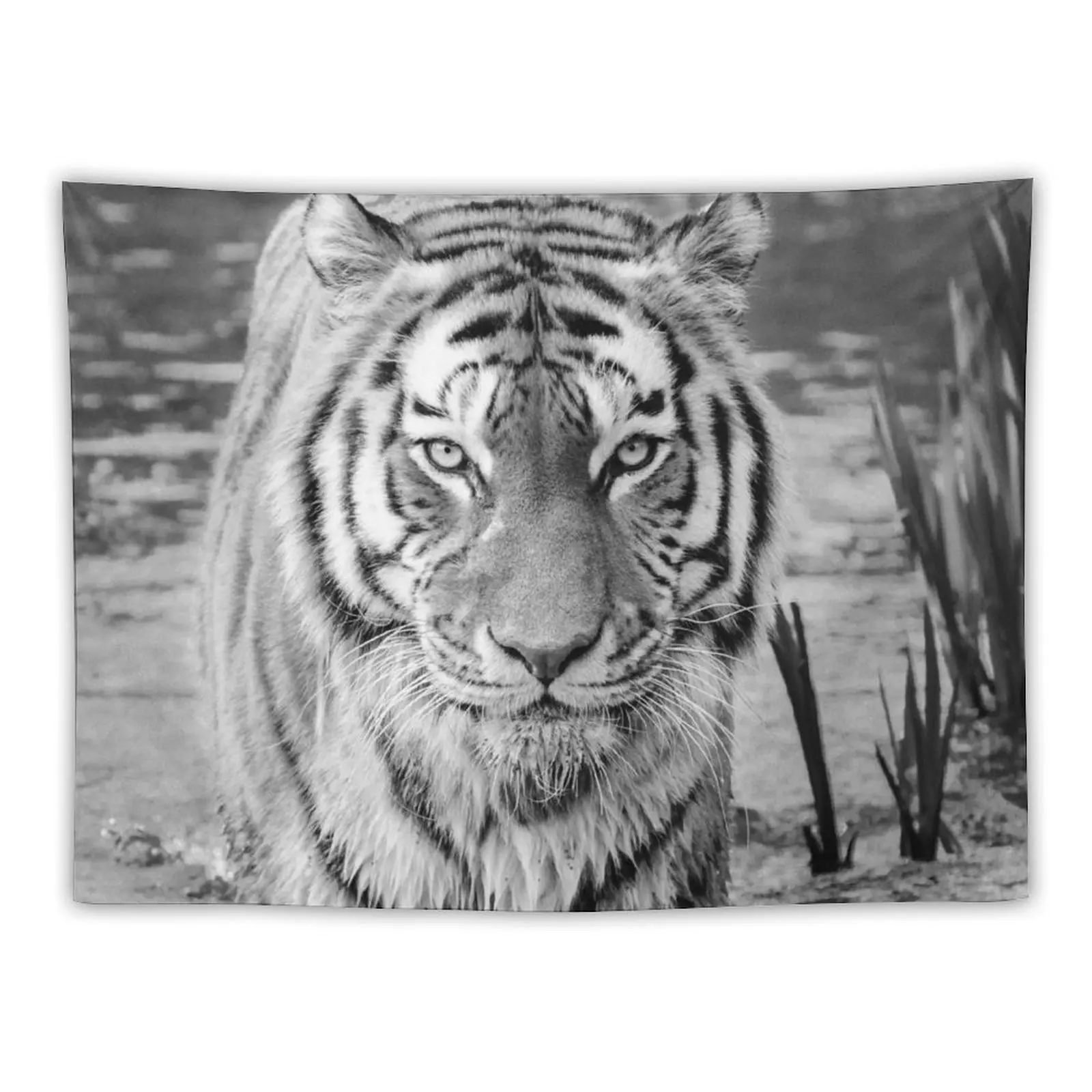 

EYE OF THE TIGER Tapestry Wall Hangings Decoration Wall Decorations Tapestry