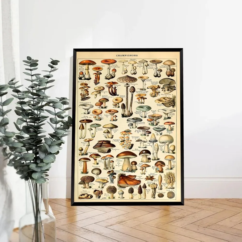 Botanical Art Prints Mushroom Good Quality Prints and Posters Waterproof Paper Sticker Coffee House Bar Posters Wall Stickers