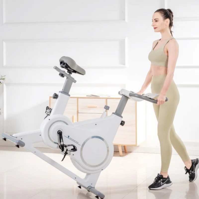Intelligent Electromagnetic Control Silent Full Package Rechargeable Fitness Equipment Flywheel Ten-Level Resistance Adjustment