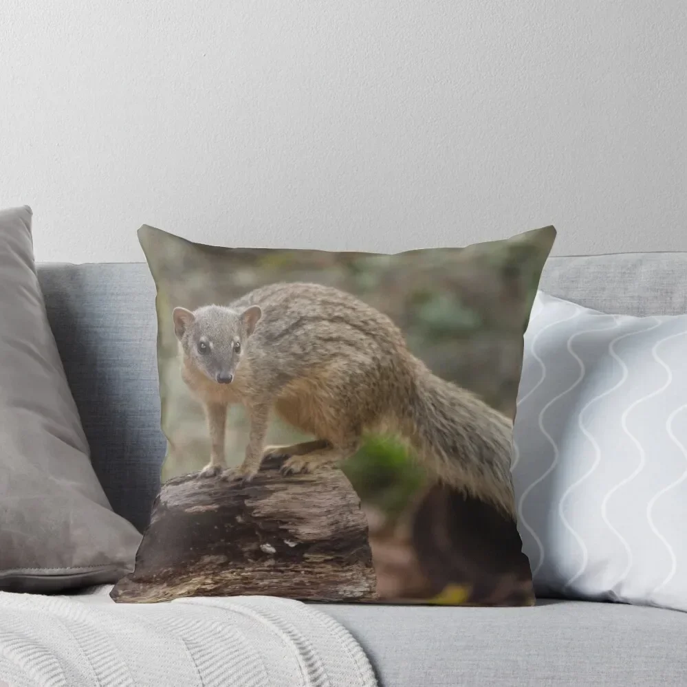 Bokiboky posing long tail Throw Pillow Cushions Pillowcase pillow