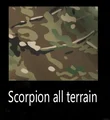 Multicam