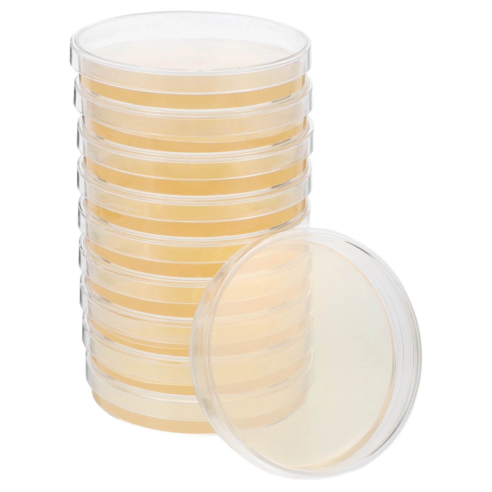 

10pcs Plates Nutrient Agar Medium Science Fair Projects Microbiology Lab Disposable Agar Plates Vacuum Packaging
