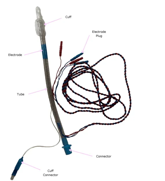 neuromonitoring arc-shaped EMG laryngeal electrode with cuff for thyroid surgery