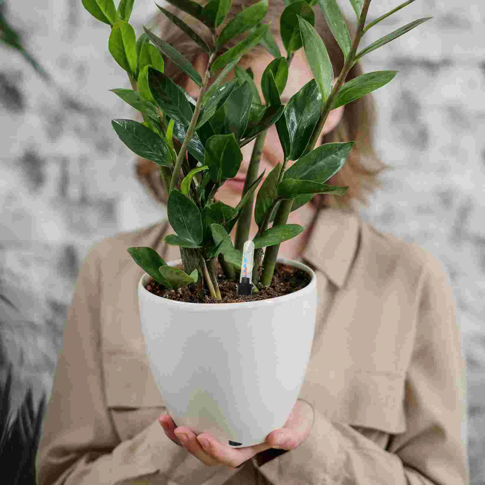 Jauge de niveau d'eau pour herbes hydroponiques, indicateur de pot de fleurs, outil de capteur, bonsaï ShorX4, rappel, compteur de bouée en plastique, échelle, 4 pièces