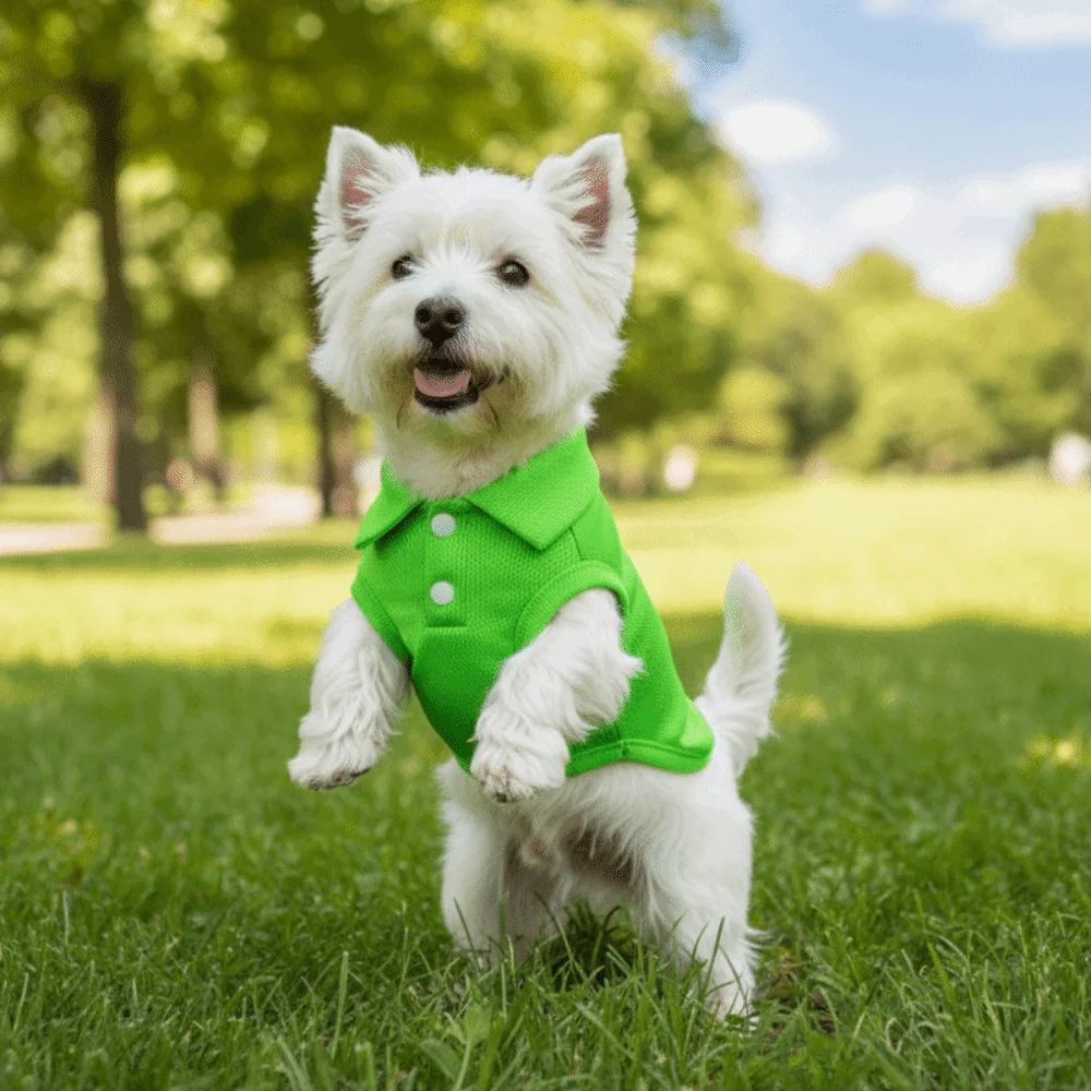 

Fashion Breathable Dog Shirt Solid Color Soft Dog T-Shirt Lightweight Comfortable Puppy Sweatshirt Casual Wear