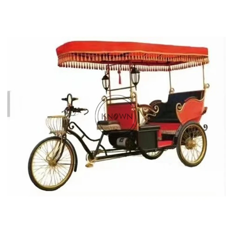 High Quality Pedicab Rickshaw Electric Pedal Three Wheels Dutch Cargo Bike No Electric Bakfiet Courier Goods Tricycle