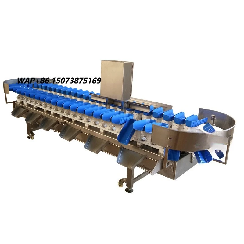 High Efficiency Automatic Weight Grading Scale Sorting and Grading Machine for Small and Large Fruit