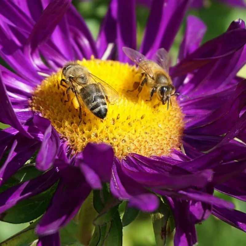 

Для WPL D12 1/10 автомобильные детали металлическая коробка передач с двигателем 370