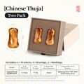 2pcs Thuja