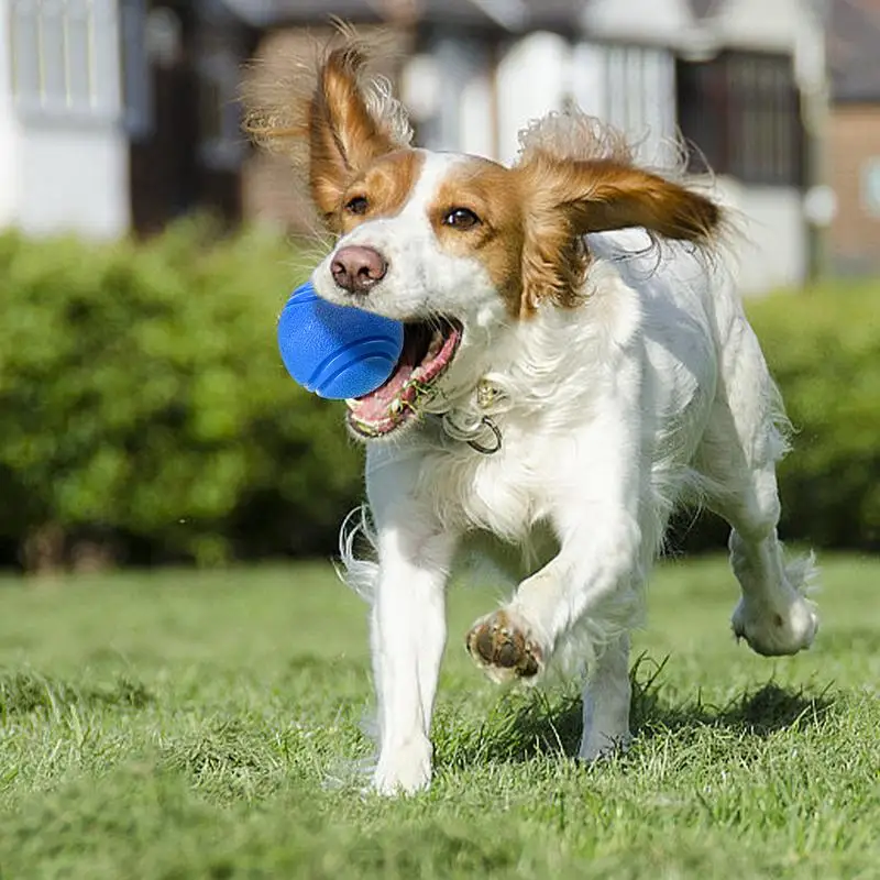 Palla gonfiabile per cani cucciolo giocattolo da masticare giocattolo da masticare per cani giocattolo interattivo per cani palla per cani