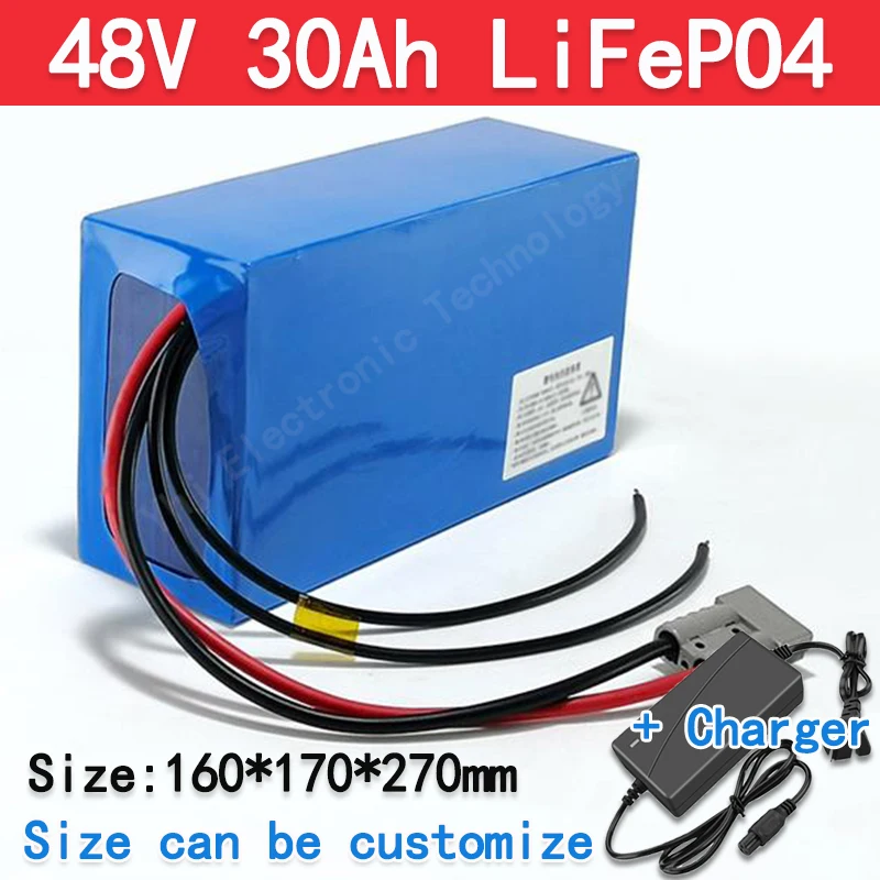 customize 48V 30AH Lifepo4 lithium battery BMS for 2800w inverter go cart Tricycle solar Scooter bike tricycle + 5A charger