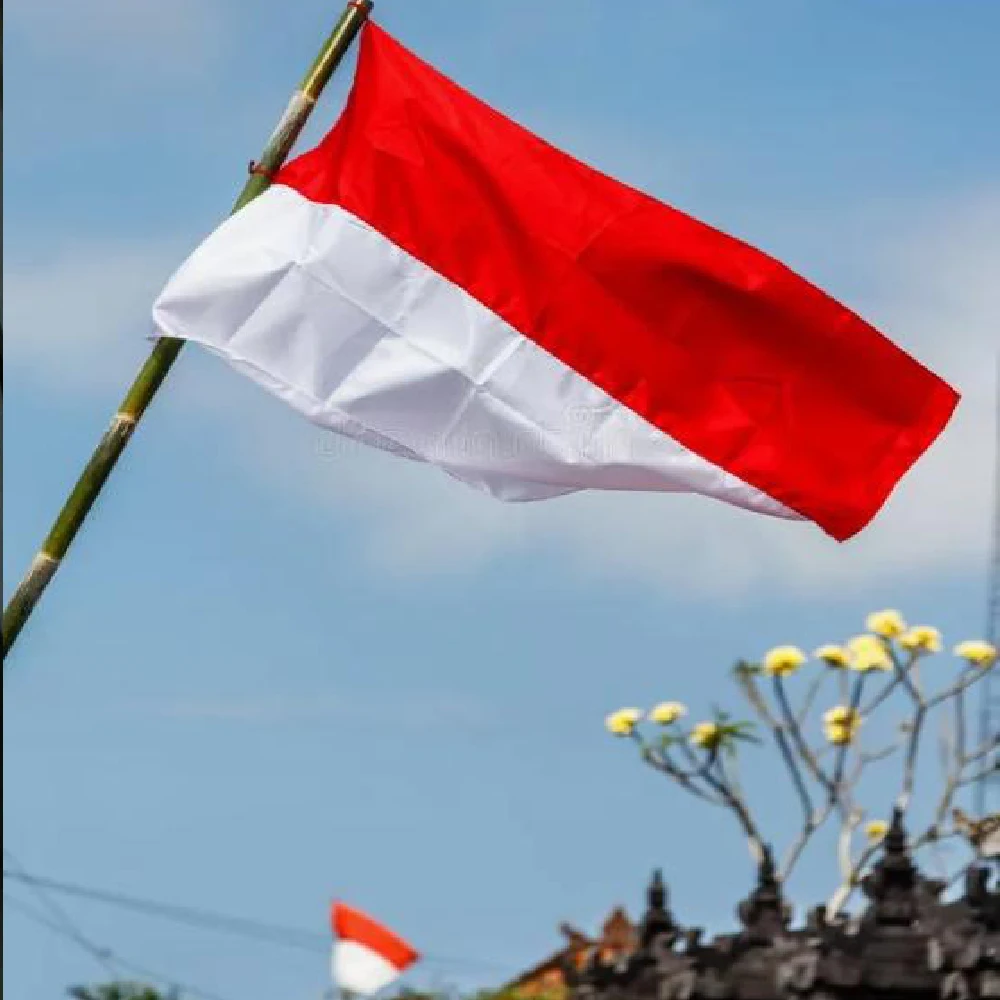 3x5Fts ID IDN Indonesia Flag For Decoration