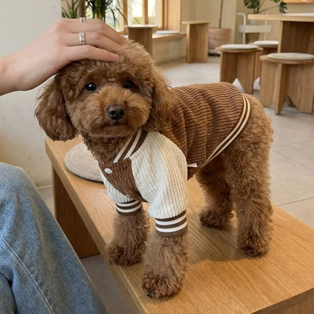 #11 Dog Apparel Discount Picks