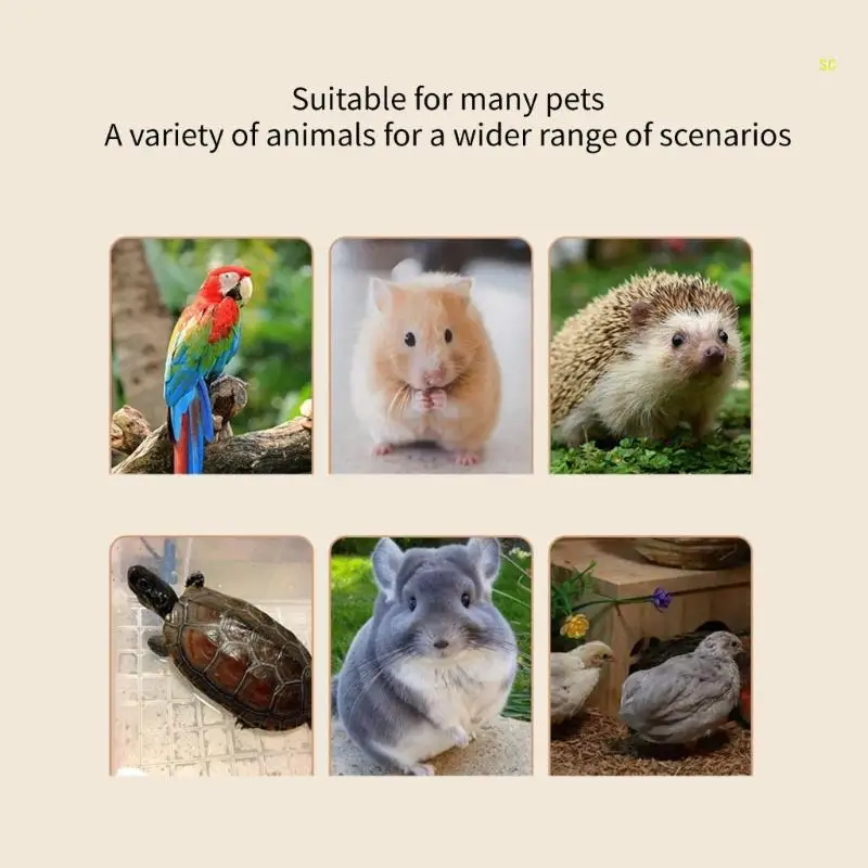 120mm Cooling Fan Router Cooling Fan For Computer Cases MiningRig CPU Dropshipping