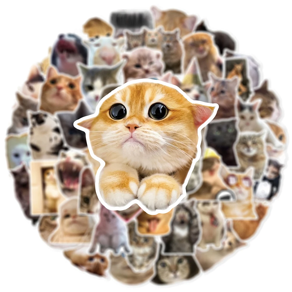 

10/30/50pcs Cartoon Cute Animal Cat MEME Stickers Funny Graffiti Decals for Notebook Helmet Guitar Phone Sticker Kid Classic Toy