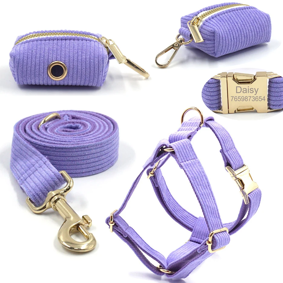 No Pull Dog Harness with Leash Adjustable Personalized Harness for Small Medium Dog Leash Lead Rope Dog Poop Bag Dispenser Pouch