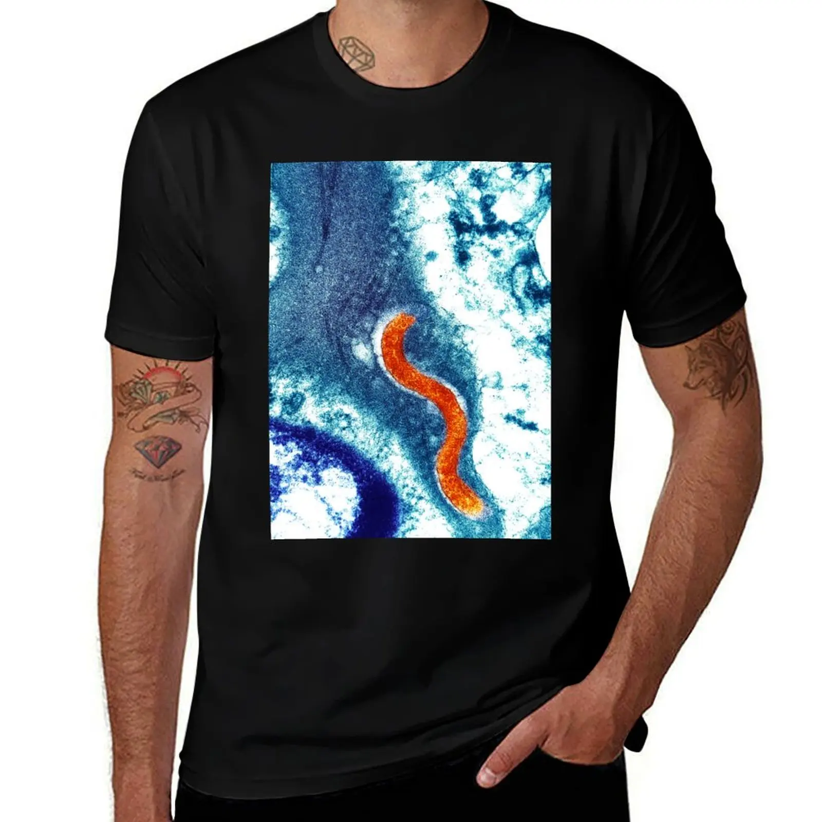

Syphilis bacterium (Treponema pallidum) (B220/1719) T-Shirt man t shirts for men anime t shirts for man T-Shirt