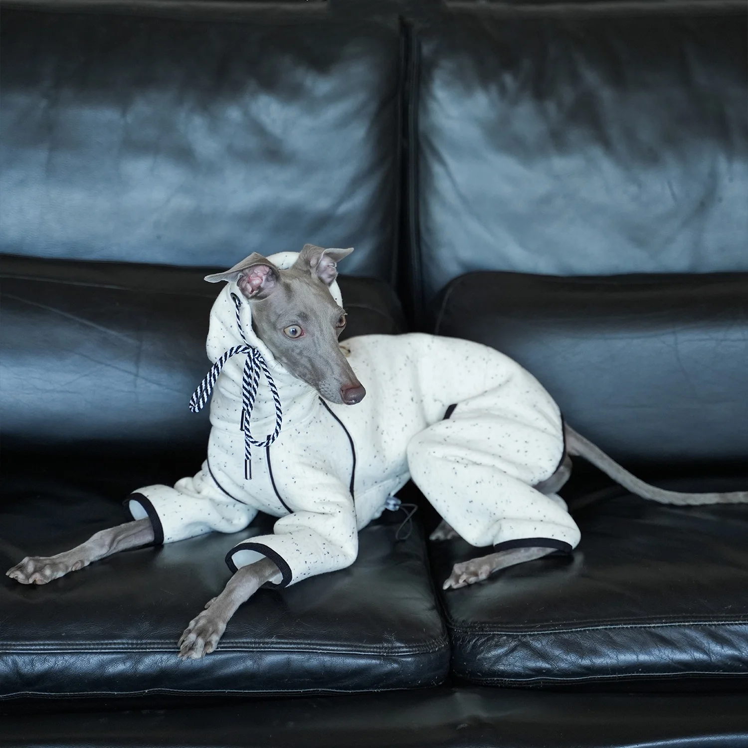 

Warm Winter High-Neck White Sweatshirt For Bedlington Autumn Four-Legged Thick Fleece Blue Coat for Italian Greyhound Whippet