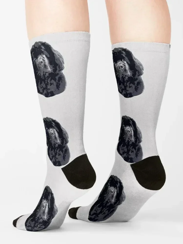 Newfoundland Cute Head Tilt Socks set funny gifts floor Lots Male Socks Women's