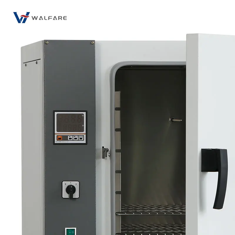 Laboratory Equipment Incubator Benchtop Electric Blast Drying Oven Thermostatic With Constant Temperature Control