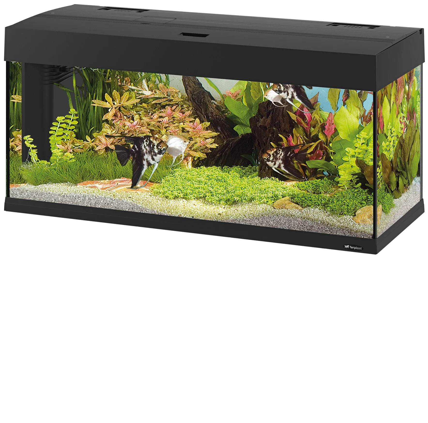 Ferplast Dubai 100 LED - 190 L. Acuario de cristal con dos lámparas LED, filtro interno y calentador. 2 colores.