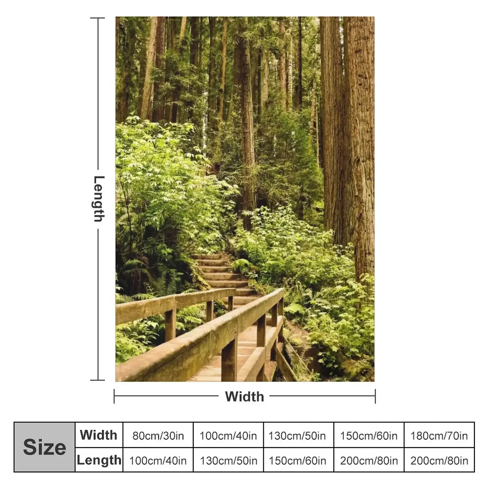 Hiking through the Redwood Forest Throw Blanket Extra Large Throw Luxury Designer Sleeping Bag Hairys Blankets