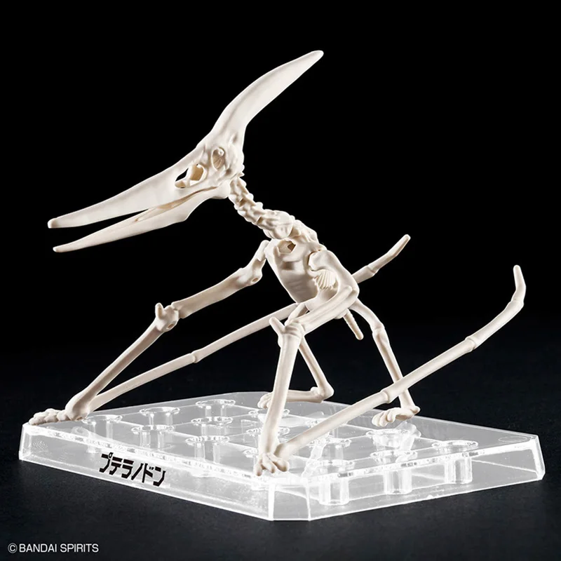 BANDAI Plastic Dinosauria Plannosaurus Pteranodon Assembly Model Action Figures Containing Skeletal Fossils Gifts Original