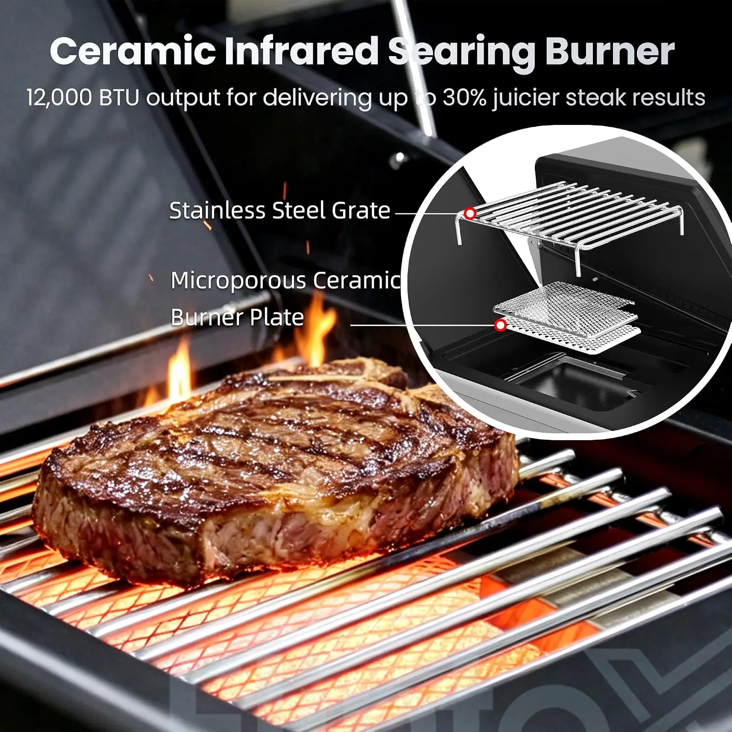 Multi-Function Propane Gas Grill with Various Grates, 6-Burner Outdoor BBQ Grill with Porcelain-Enameled Cast Iron, Customized
