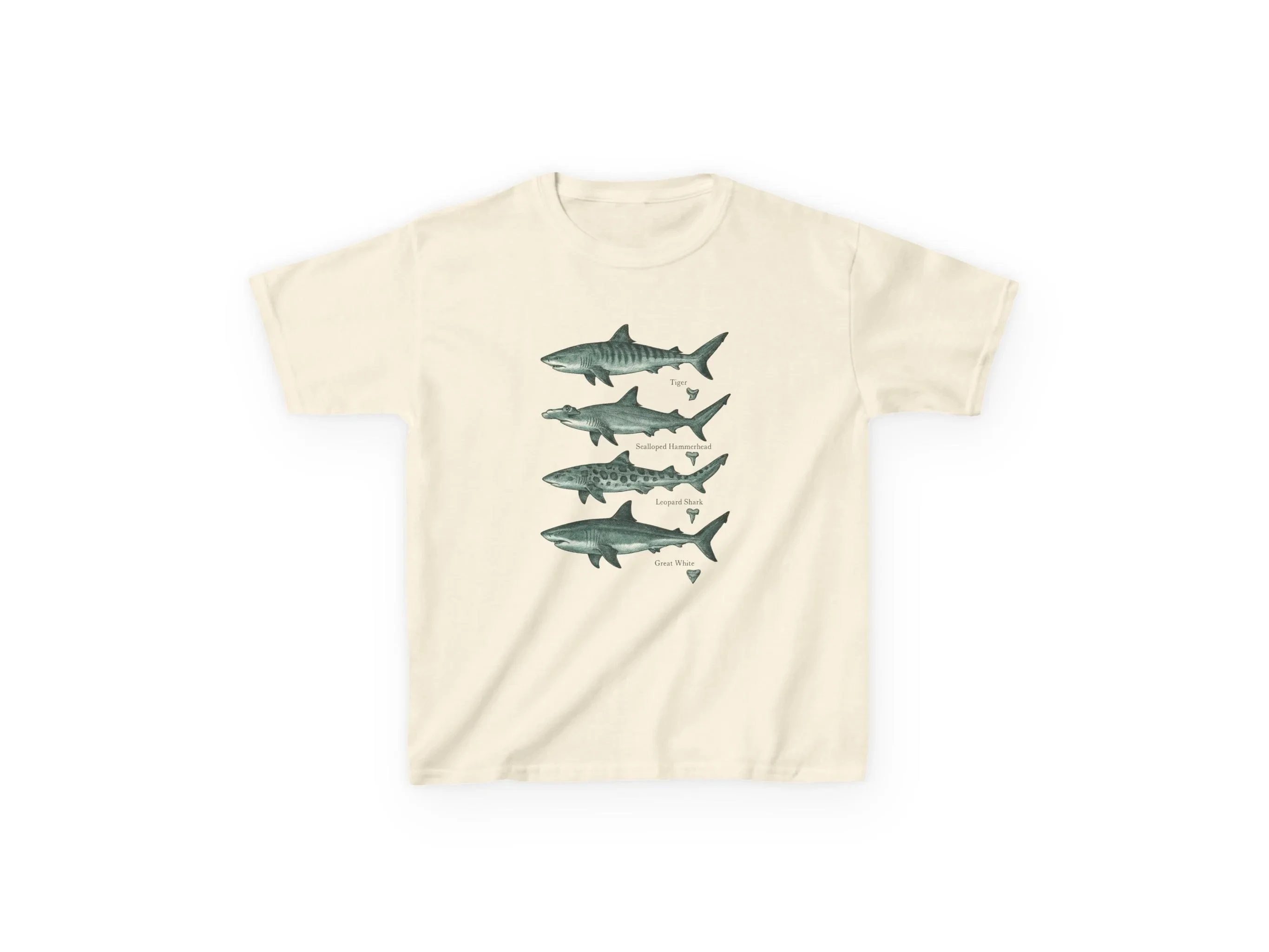 Shark Species T-Shirt, Vintage Style Marine Biology T-Shirt Featuring Natural Tiger Shark, Hammerhead Shark, and Leopard Shark