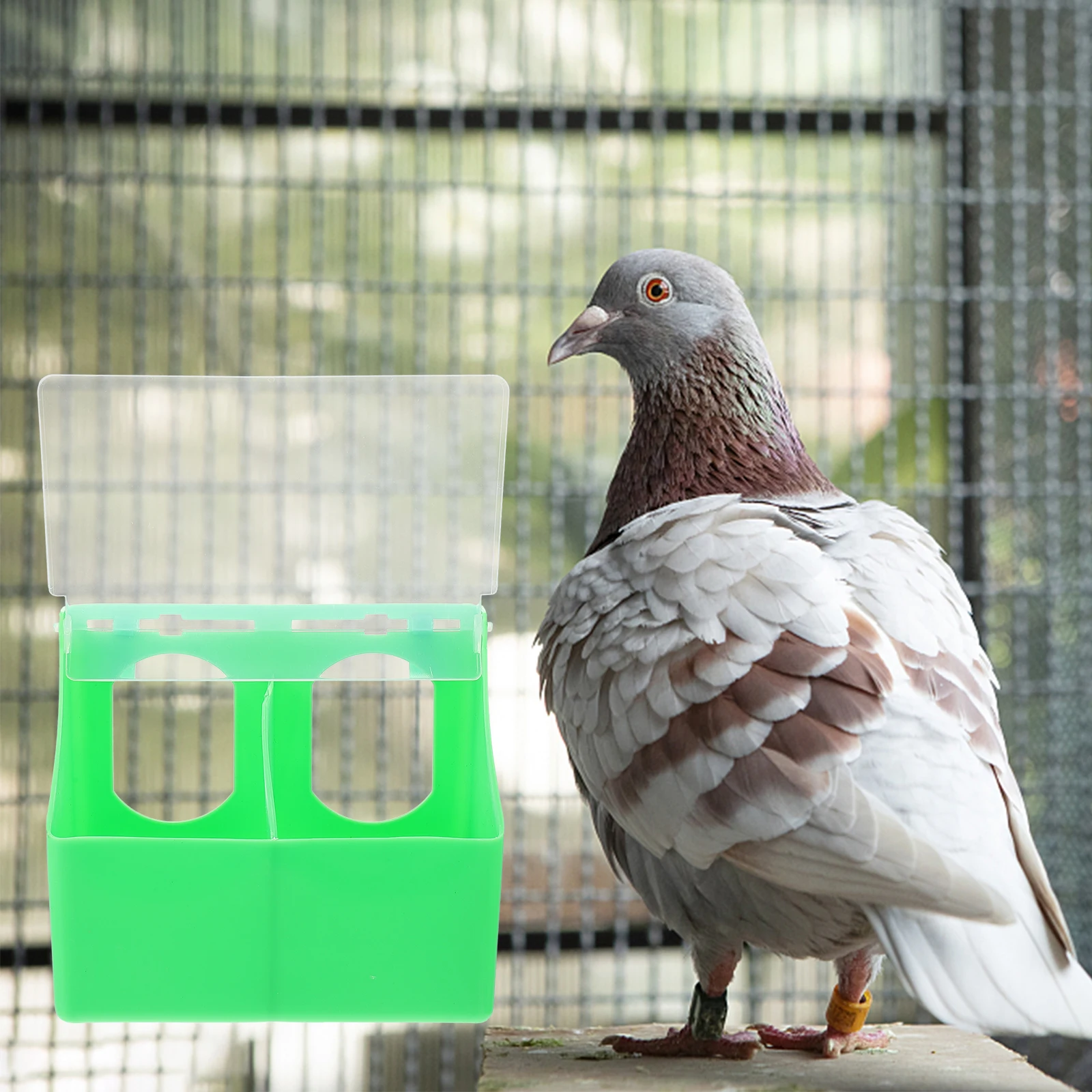 

Pigeon Quail Feeder Household Bird Feeding Cup Multi-Function Cage Accessory Random Plastic Quail Feeder Color