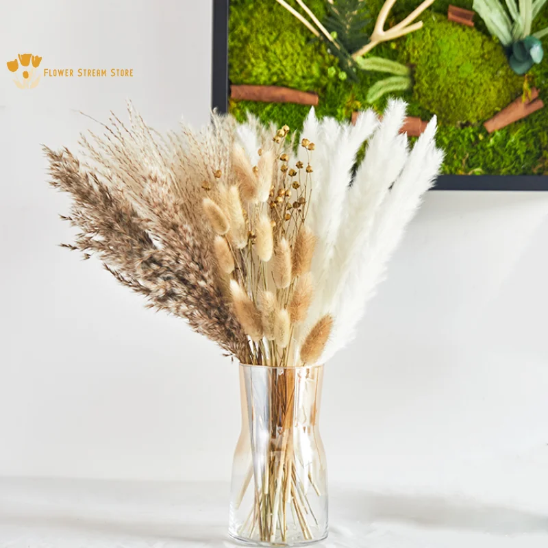 

Fluffy Pampas Grass Bouquet Reed Dried Flower Boho Home Decor Natural Bunny Tail Babysbreath for Wedding Floral Room Decoration