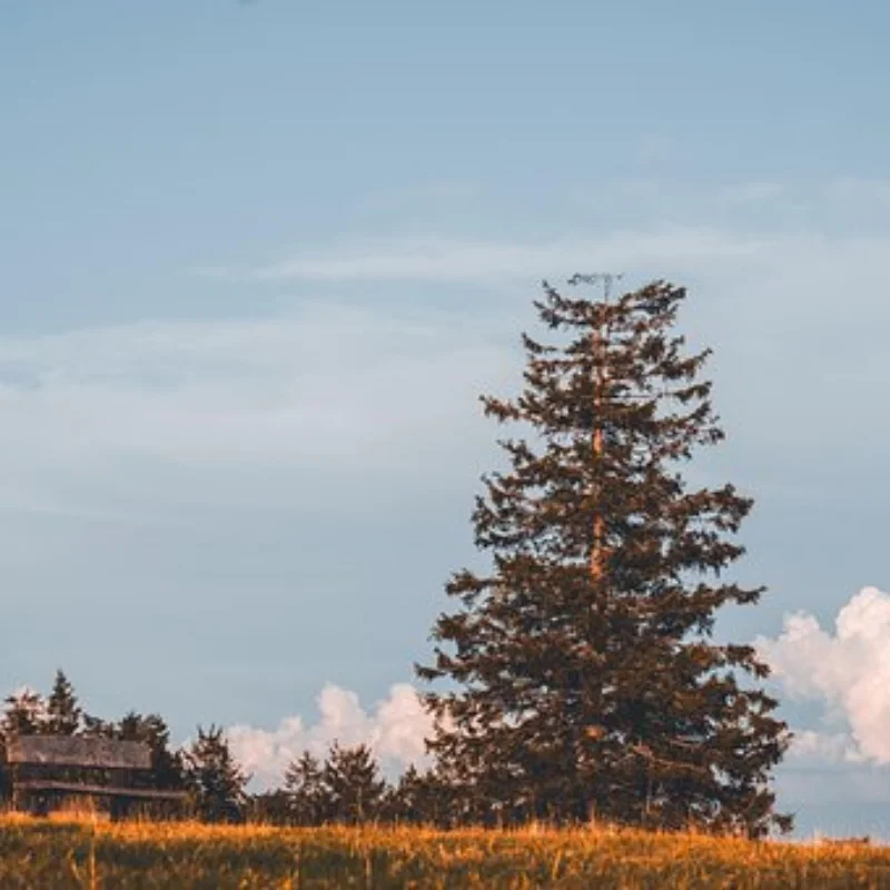 

4 шт. 2,2-дюймовые гусеничные шины, большие 136 мм, резиновая шина для 1/8 радиоуправляемого автомобиля, осевые детали Yikong YK4083 CROSSRC Rhinoceros, обновленные детали