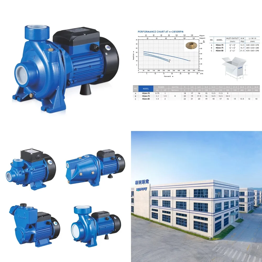 Centrifugal Pump for Happy Brand China Wholesale Surface Water Transfer Irrigation Drainage High Flow Rate 110V 220V