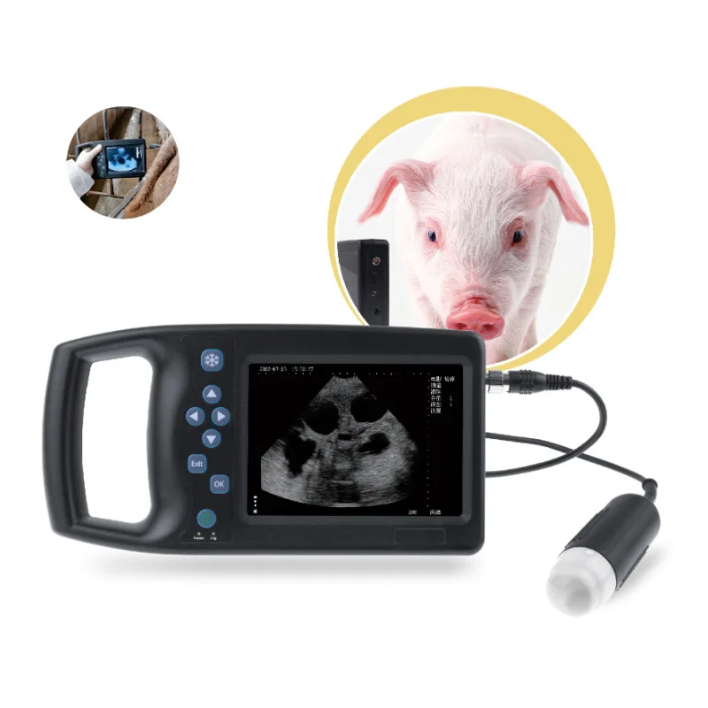 Direct selling digital physiotherapy therapy ultrasound machine veterinary ultrasound probe equipment portable laptop