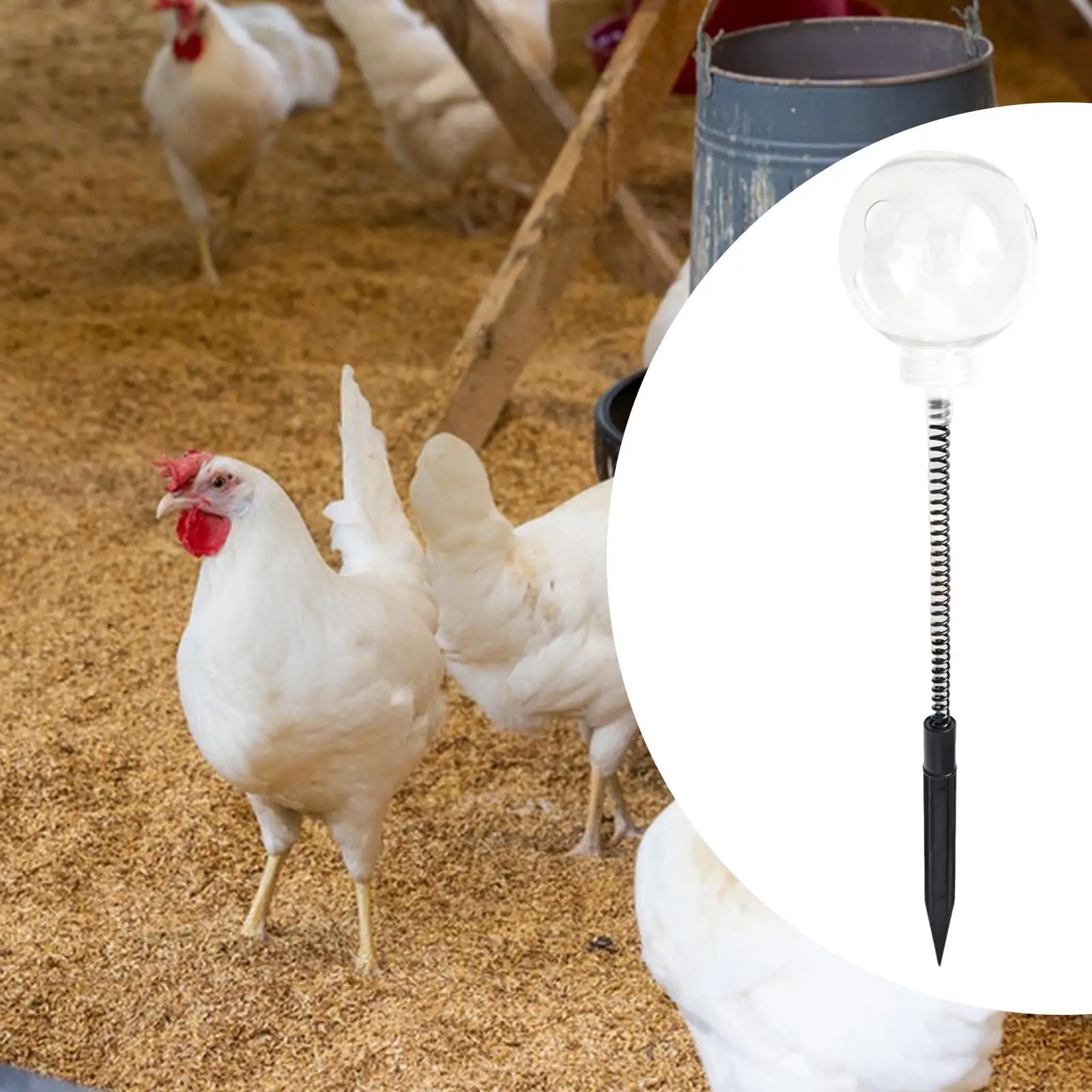 Peck Toy Slow Feeder 40cm Tall Feeding Container for Chick Duck Parrots