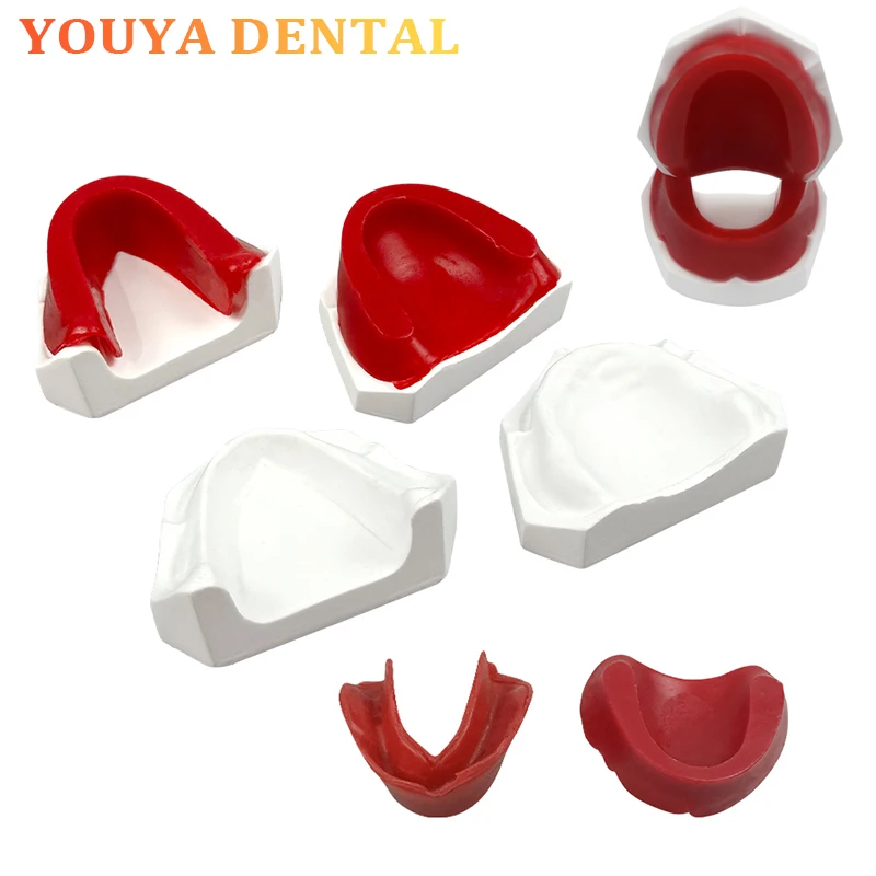 

Dental Dentistry Jaw Wax Tooth Model Toothless Gypsum Model Dental Practice Training Teaching Demonstration Model