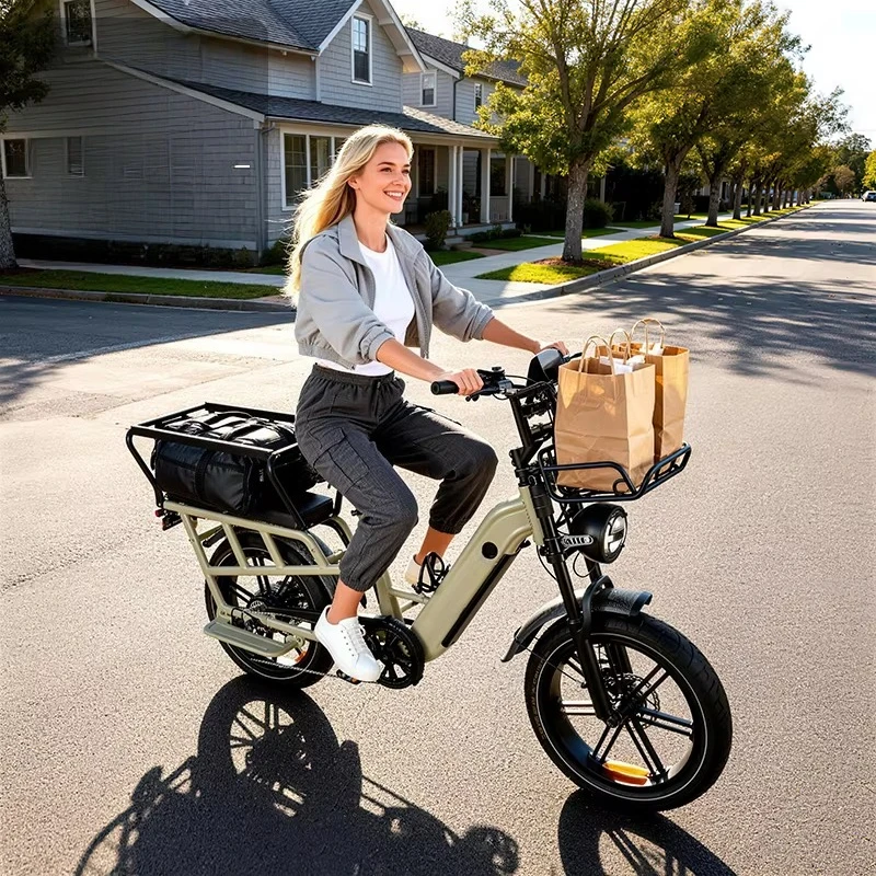 Lady Commercial Grade Delivery Electric Cargo Bicycle High Torque 85Nm Hub Motor 100 Mile Range Dual Battery