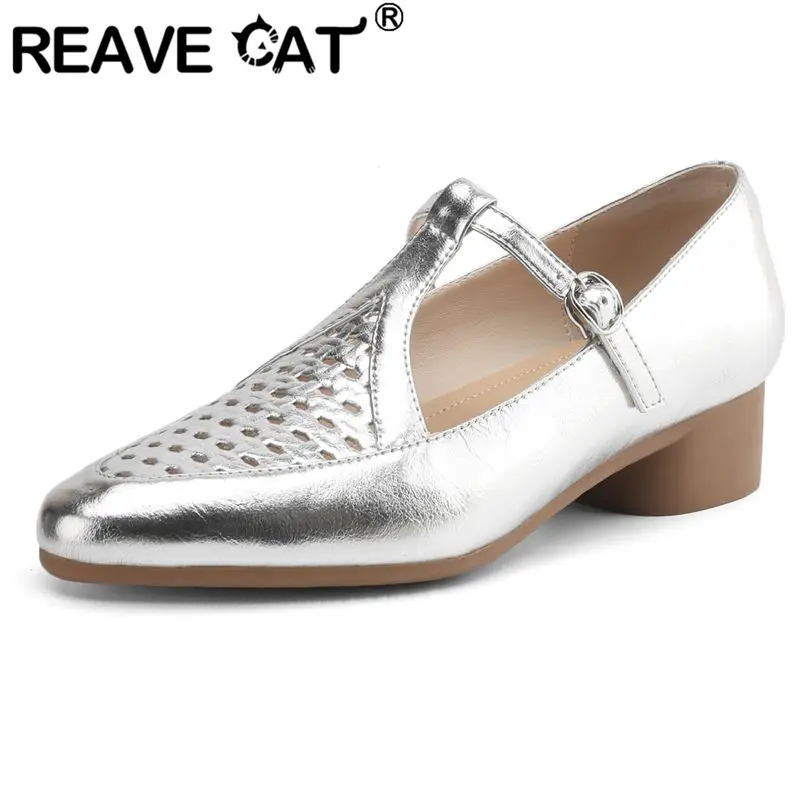 

REAVE CAT 2025 Leisure Female Sandals Low Heels 3cm Buckle T-strap Pointed Toe Breathable Soft Daily Summer Shoes for Women 40