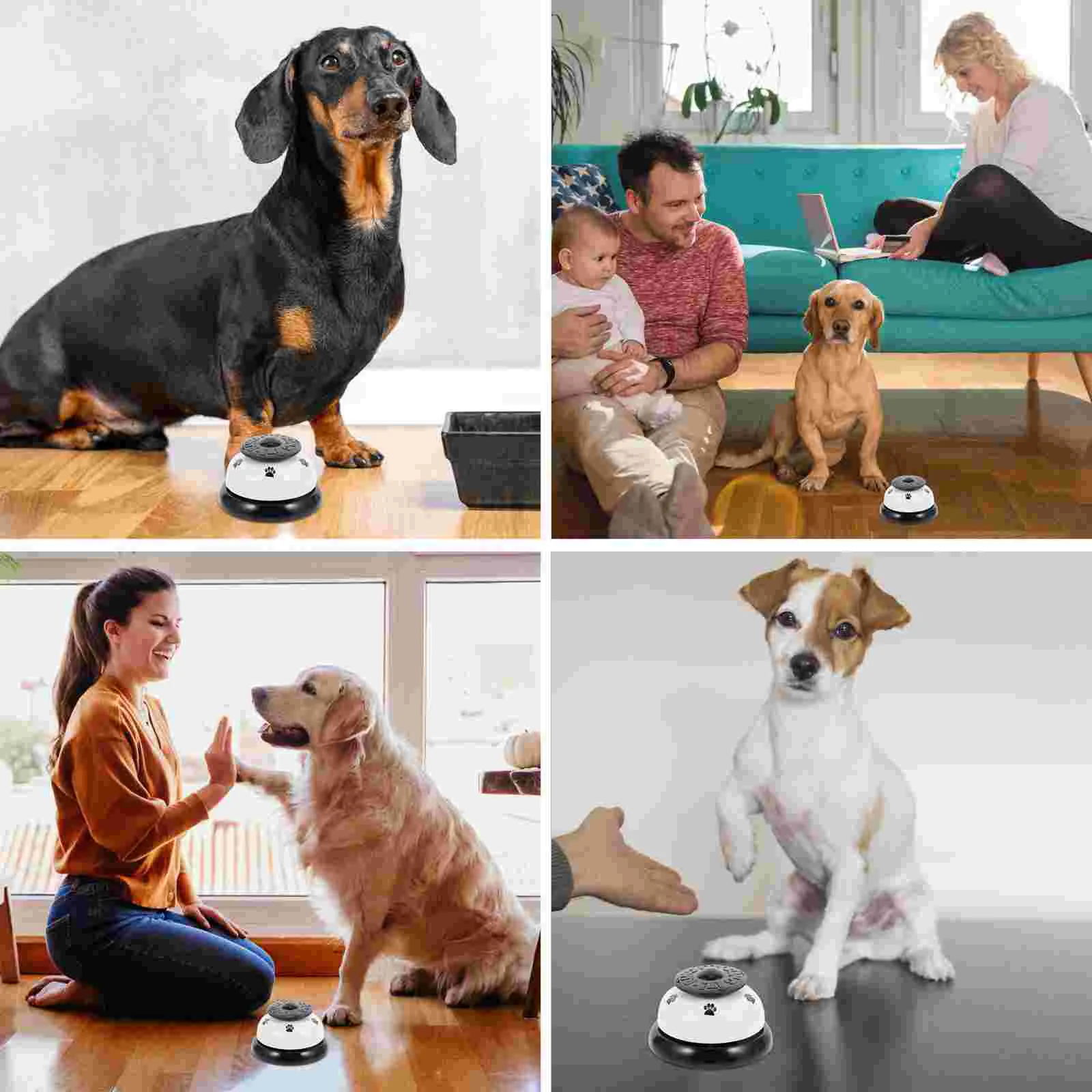 Rezeption Intelligenz Spielzeug Glocke Tür Metall Welpen Haustier Töpfchen Training Glocken