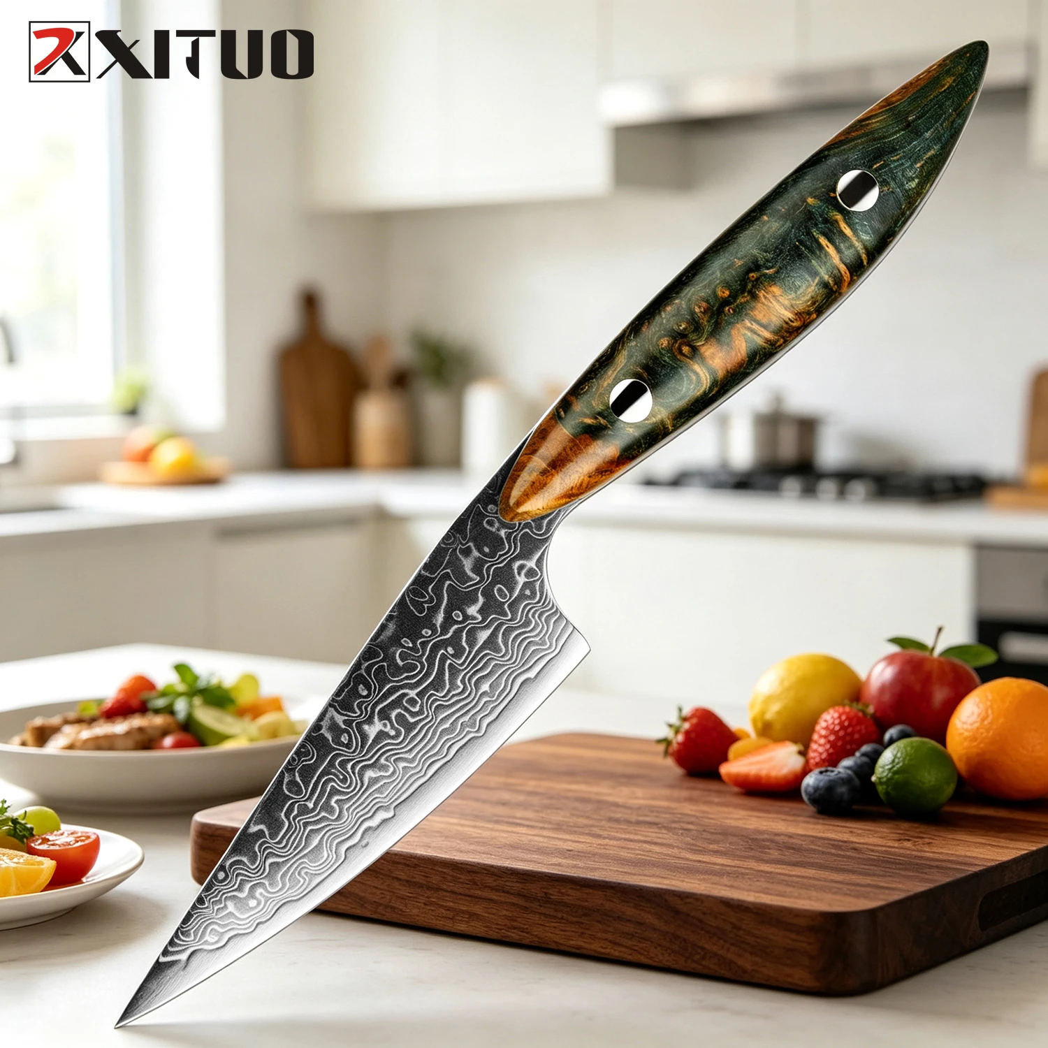 XITUO Pro Japanese 3.5 Inch Paring Knife Damascus Steel Sharp Kitchen Chef Knife for Fruit Peeling,with Stabilized Wooden Handle