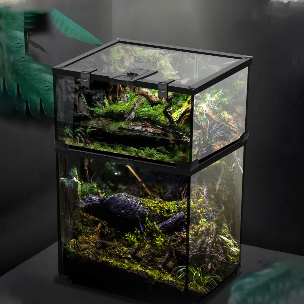 Amphibian Tropical Ecological Rainforest Box Turtle Lizard Horned Frog Water Turtle Snake Amphibious Aquascape Keeper