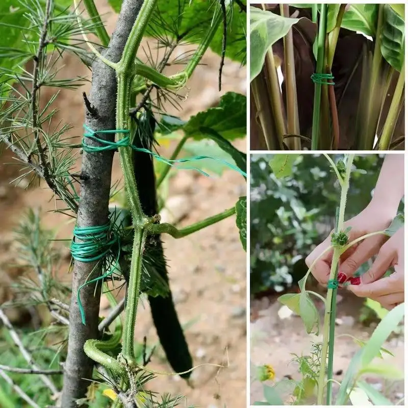[L] 1 Roll 20/50/100/200M Multifunctional Plastic Steel Twist Tie Sturdy Reusable Garden Flower Plant Support Strap Tie