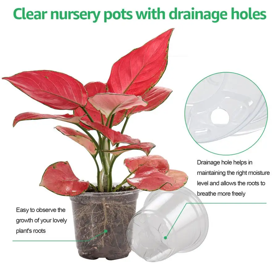 30 4-inch clear plastic planters with humidity domes and drainage holes for indoor succulents, seed starting, seedlings